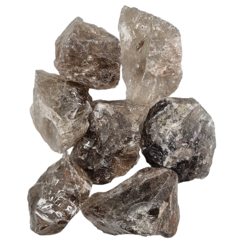 345251410_914535253185773_2778032339909834490_n