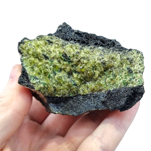 345426118_249678341041632_8245925461009217719_n