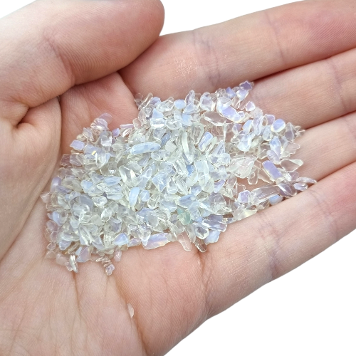 350982237_1244653712830453_6042438690958507406_n