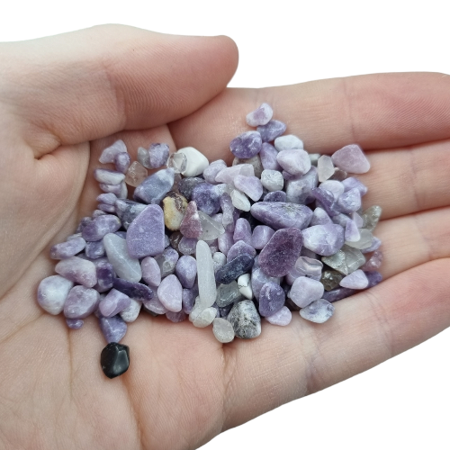 350988789_280942891063211_1538152208112712247_n