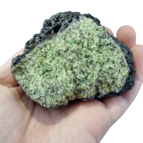 351099591_1399206117527951_2555871800442469084_n