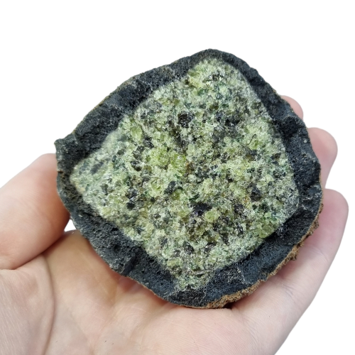 351431231_6333925630048589_4173225894302284012_n