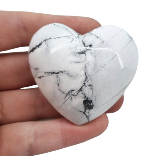 351505469_200398539208056_6432775333588360924_n