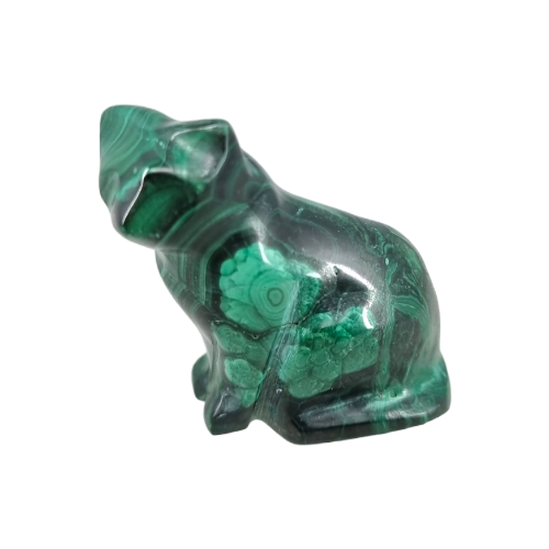 355667295_130427756740131_2933563123796859744_n