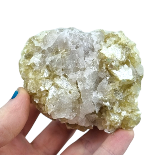 356078267_1255109675373017_5906486672027767431_n