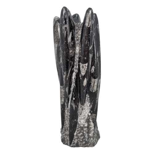 356369192_1629379174210604_6268976495258264407_n