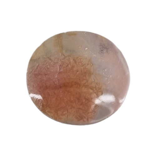 356396297_242945285263187_8505656861893535656_n