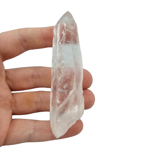 356660001_976074660327151_2726273834244658297_n