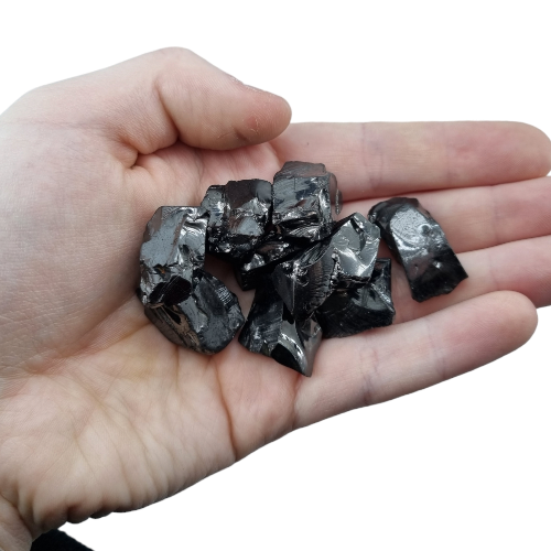 356950728_1355820788306397_1965895721378841739_n