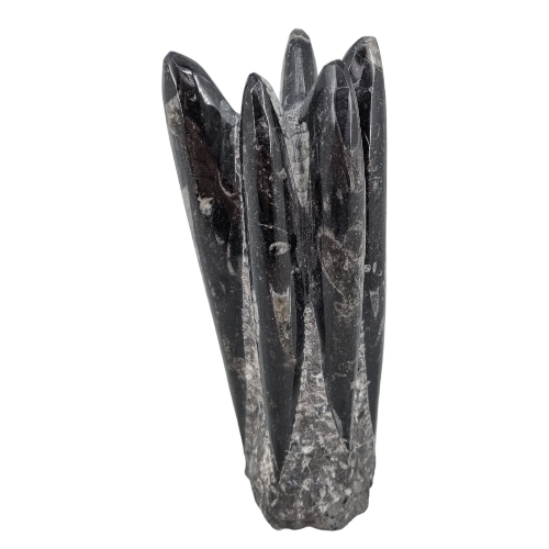 356957476_982261316306579_6609380861260820026_n