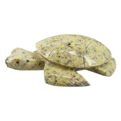 Asterite Turtle