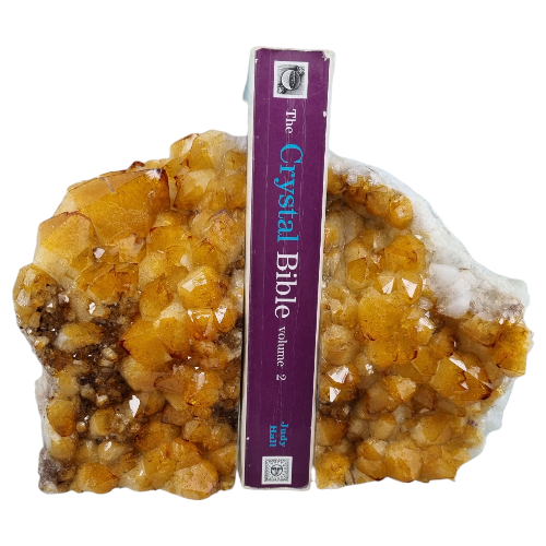 357315587_233527249571586_6718541752288548764_n