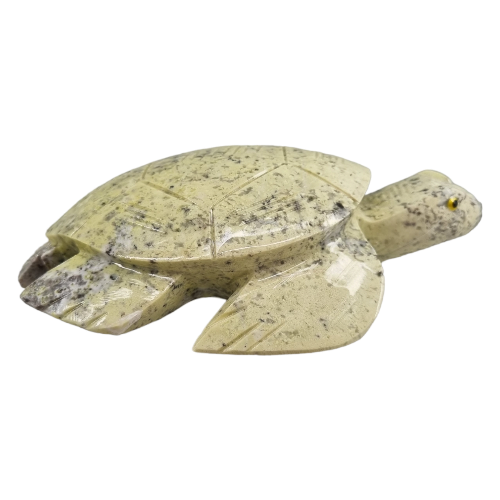 357330336_976008856922545_2729984747890768011_n