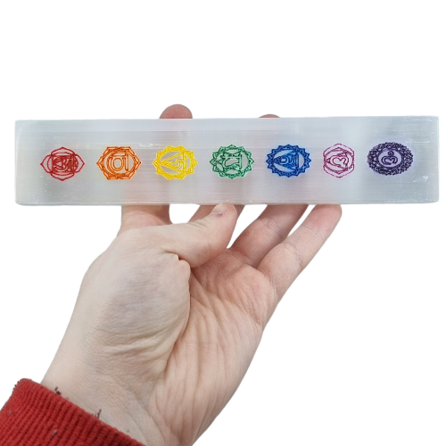 358805281_6435663093184089_1205769763411896073_n