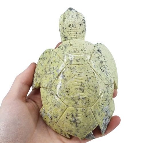 359015863_819824893199670_6957437883876354528_n