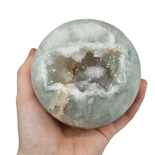 359294681_626792016090285_268094885614379603_n