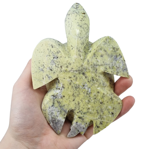 359743574_1312908142954205_8821496771227932880_n