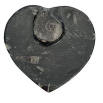 Orthoceras Heart Bowl