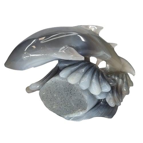 Agate druzy shark close-up showing thousands of tiny sparkling quartz crystals across the carved surface, for emotional balance and inner strength