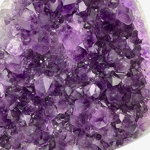 Kindred Crystal Collective — Amethyst Cluster, side view of natural amethyst cluster showing multi-directional violet crystal point formation and natural base