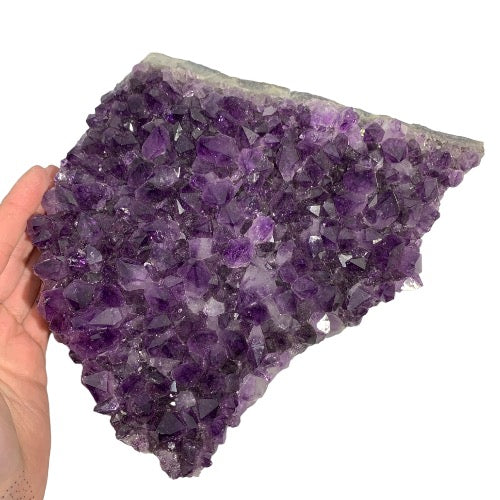 Kindred Crystal Collective — Amethyst Cluster, deep purple raw amethyst cluster, size reference with hand, top view