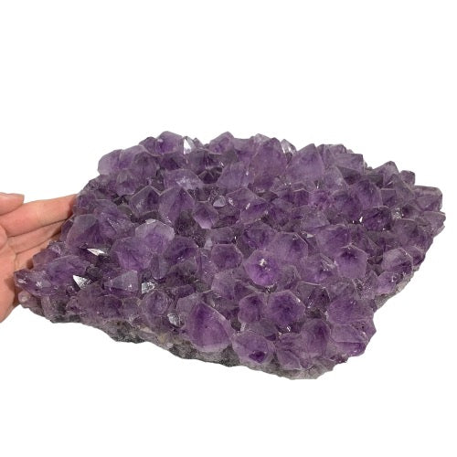 Kindred Crystal Collective — Amethyst Cluster, overhead view of large natural amethyst cluster showing dense field of multi-directional violet crystal points