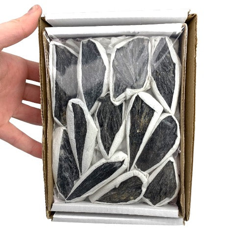 Kindred Crystal Collective — Black Kyanite Rough Boxed, side view of raw black kyanite showing layered blade structure and near-metallic sheen