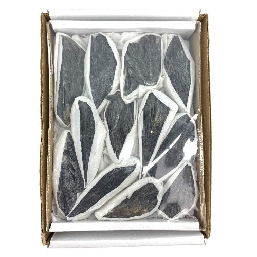 Kindred Crystal Collective — Black Kyanite Rough Boxed, natural black kyanite fan formation with bladed crystals, presented in gift box