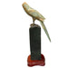 Kindred Crystal Collective — Blue Onyx Parrot on Amethyst Cluster, rear view of full carved crystal parrot sculpture on timber base
