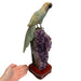 Kindred Crystal Collective — Blue Onyx Parrot on Amethyst Cluster, full sculpture with size reference hand, timber base
