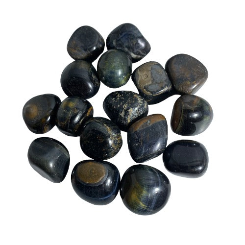Kindred Crystal Collective — Blue Tiger Eye Tumbled 2–2.5cm, fourteen polished deep navy to dark blue-grey stones with silky chatoyant sheen and subtle golden fibrous banding on white background