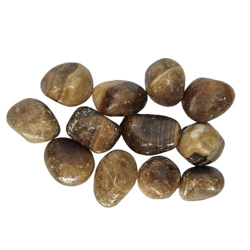 Kindred Crystal Collective — Brown Aragonite Tumbled 2–2.5cm, eleven polished warm caramel to dark brown aragonite stones with semi-translucent layered banding on white background