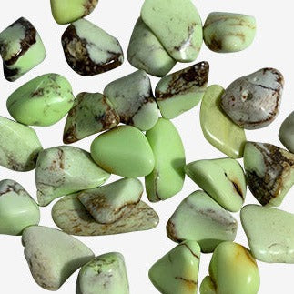 Kindred Crystal Collective — Chrysoprase Tumble Stone Small, vivid apple-green chalcedony with dark matrix, 100g pack of 1–2cm polished tumbles