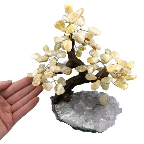 Citrine Gem Tree on Amethyst Cluster — size reference with hand