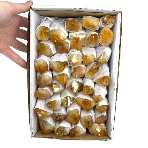Kindred Crystal Collective — Citrine Rough Point Boxed, side view of natural citrine rough point showing warm amber and honey tones