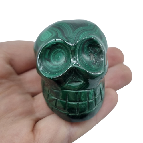 Malachite skull 180g showing striking green concentric banding, a powerful stone of transformation for third eye and heart chakra activation