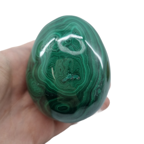 Malachite egg close-up showing striking green concentric banding, a powerful stone of transformation for third eye and heart chakra activation