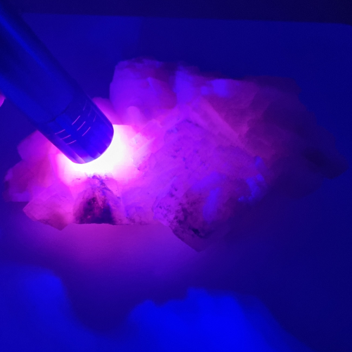 Mangano calcite raw specimen glowing vibrant fluorescent pink under UV light, a UV-reactive pink crystal for heart-centred energy and mineral collections