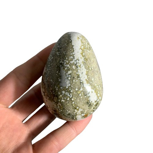 Kindred Crystal Collective — Ocean Jasper Egg, polished earthy green and white orbicular ocean jasper egg, size reference held in hand