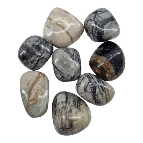 Kindred Crystal Collective — Picasso Jasper Tumbled 2.5–3cm, seven polished cream and grey jasper stones with dramatic black dendritic linear markings on white background