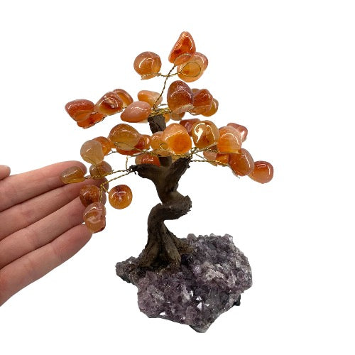 carn gem tree 11