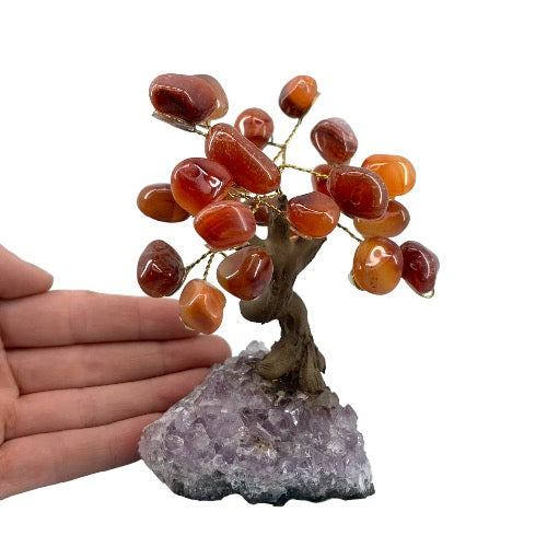 carn gem tree 22