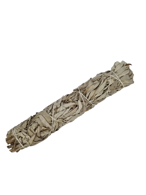 Organic White Sage Smudge Stick