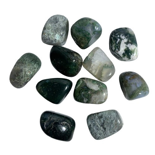 Kindred Crystal Collective — Moss Agate Tumbled 2–2.5cm, ten polished translucent chalcedony stones with deep forest green and teal moss-like dendritic inclusions on white background