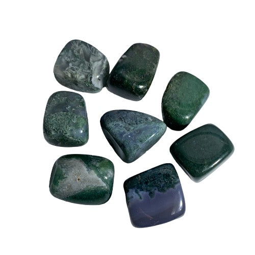 Kindred Crystal Collective — Moss Agate Tumbled 2.5–3cm, seven polished translucent chalcedony stones with deep forest green and grey-blue moss-like dendritic inclusions on white background