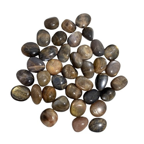 Kindred Crystal Collective — Moonstone Natural Tumbled 1.5–2cm, thirty-five polished dark grey, charcoal and warm taupe moonstone stones with silky adularescent sheen on white background