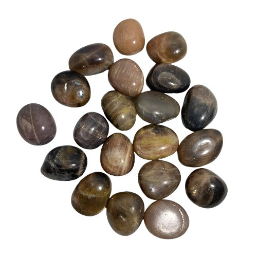 Kindred Crystal Collective — Moonstone Natural Tumbled 2.5–3cm, eighteen polished dark grey, charcoal and warm taupe moonstone stones with silky adularescent sheen on white background