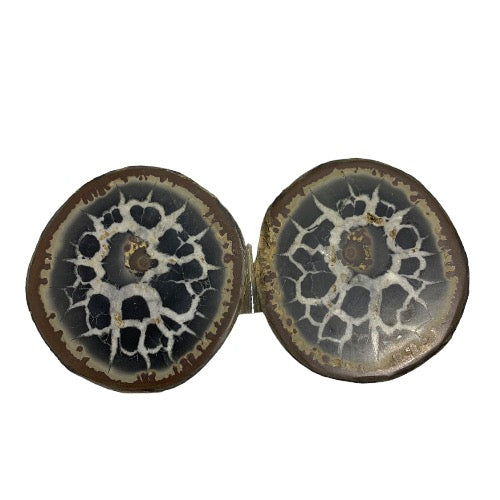 septarian pair 1