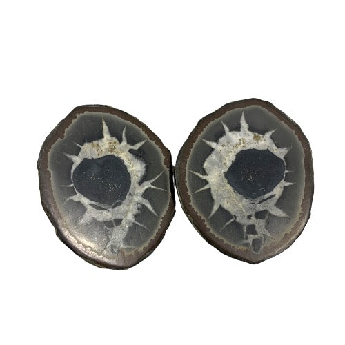septarian pair 4
