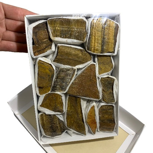 Gold Tiger Eye Rough Boxed